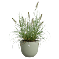 sereh round 30cm verde scandinavo